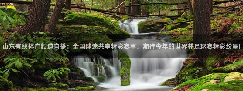 山东有线体育频道直播：全国球迷共享精彩赛事，期待今年的世界杯足球赛精彩纷呈!